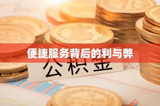 鹿邑便捷服务背后的利与弊